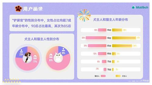 娱乐吃瓜酱ppt排版图,揭秘潮流视觉盛宴